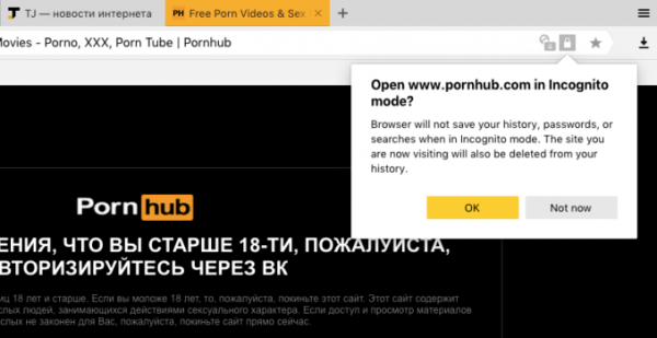 «Яндекс. Браузер» предлагает автоматически открывать порносайты в режиме инкогнито